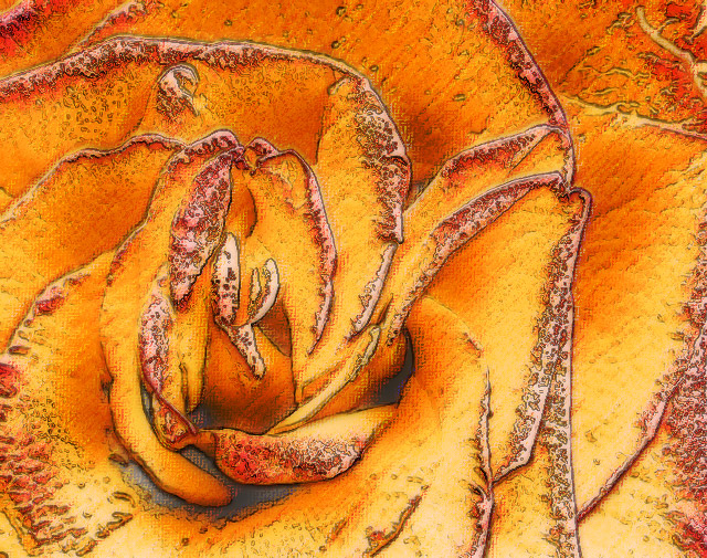 Rose