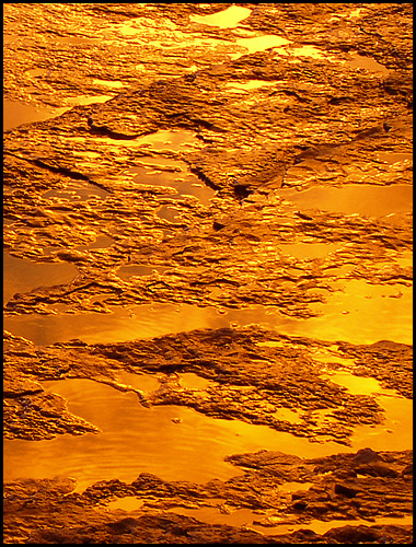 Liquid Gold