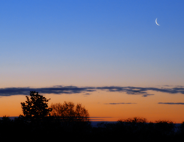 Early morning