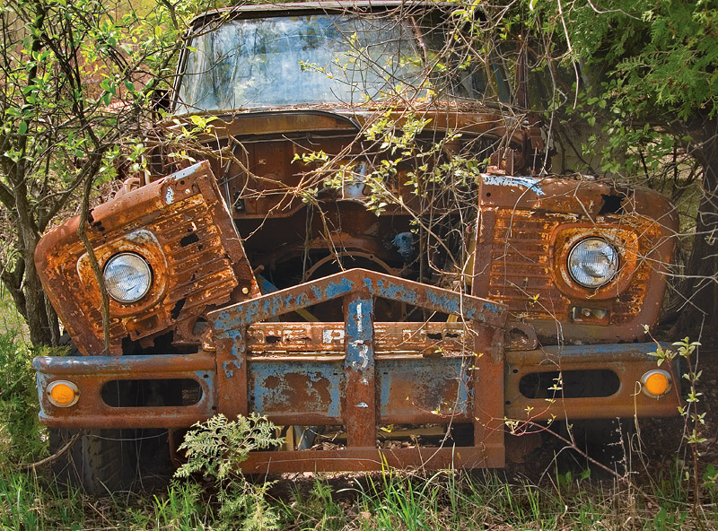 Reclaimed by nature