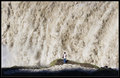 Forces of Nature