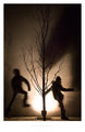 Shadows of youth