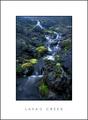 Lava's Creek