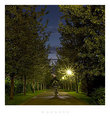 Vanishing point II