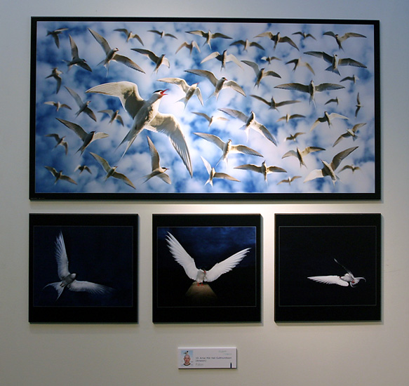 Exhibition Sept 2004