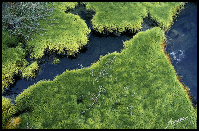 Earth's carpet