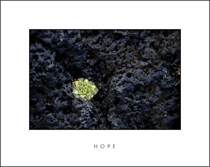 Hope