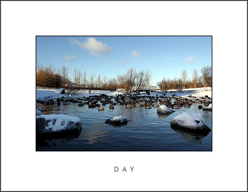 Day