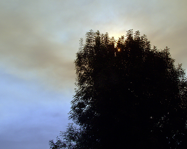 Smokey sky