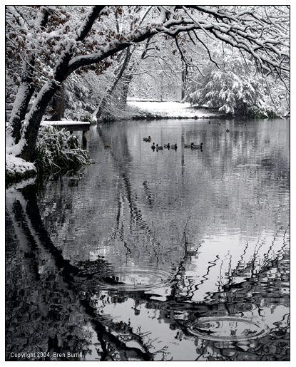 Snowy Lake
