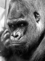 What Are You Thinking?