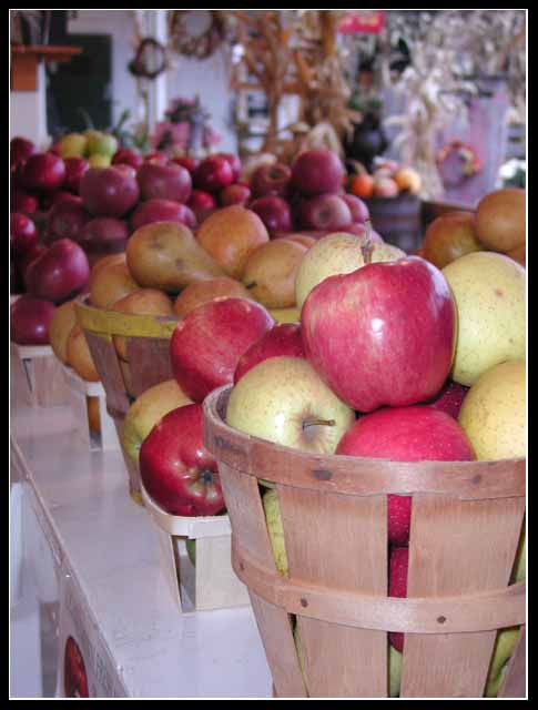 Autumn Apples