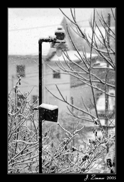 New Year Snow