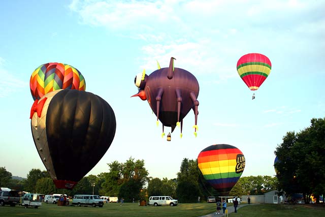 IMG0263adpc.jpg