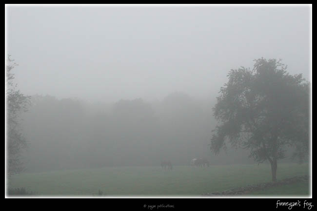 finnegan's fog