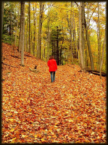 wandering trails.jpg