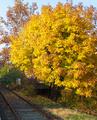 Lambertville in the Fall