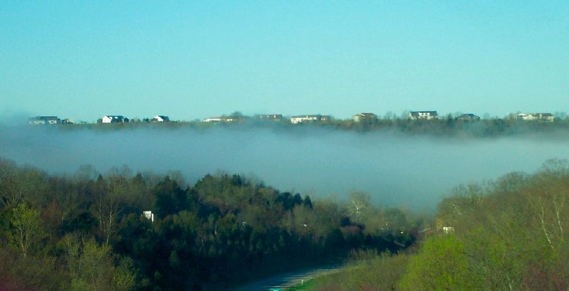 Spring Morning in the Ozarks