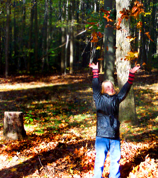 Autumn Joy