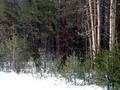Touch of Winter
