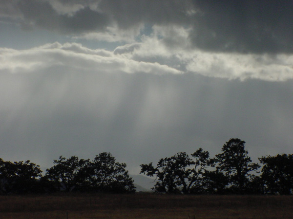 Sun Rays