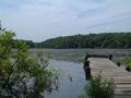 The Pond