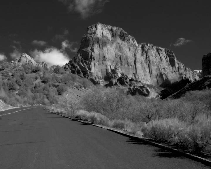Zion National Park