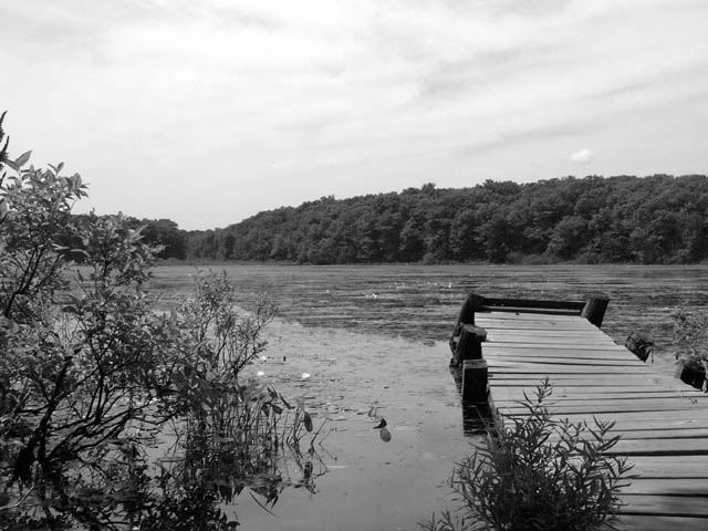 The Pond in Black/White