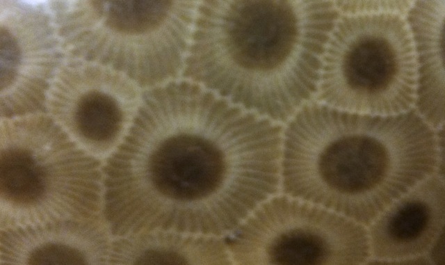 2014-02-04 22.26.58