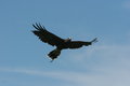 IMG_1246.JPG