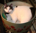 Spaz_1835.jpg