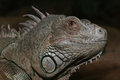 IMG_4369Small.jpg