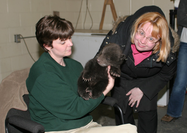 bear.jpg