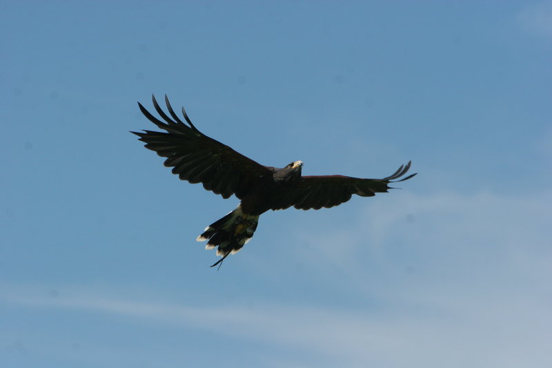 IMG_1246.JPG