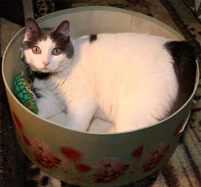 Spaz_1835.jpg