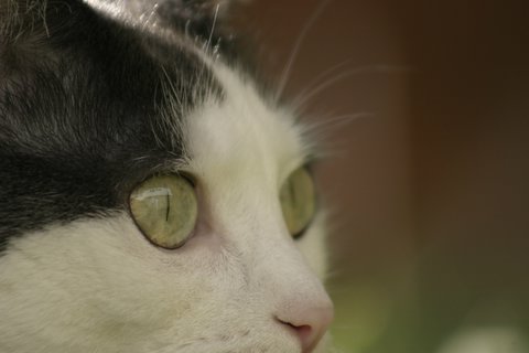 IMG_9544.JPG