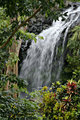 Annandale Falls