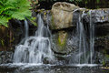 Cascade in the Park