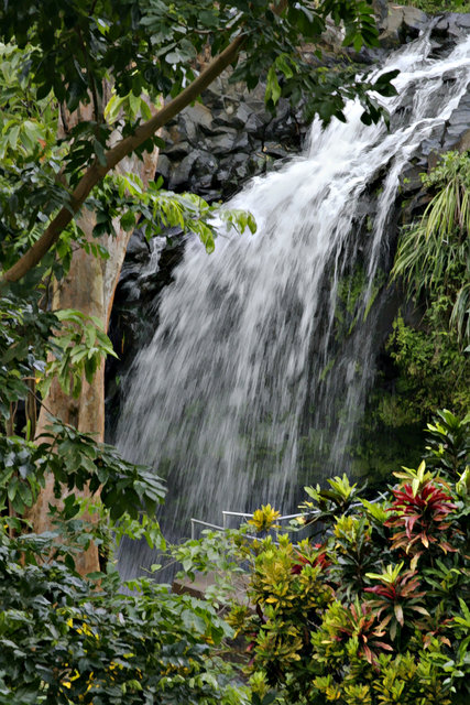 Annandale Falls