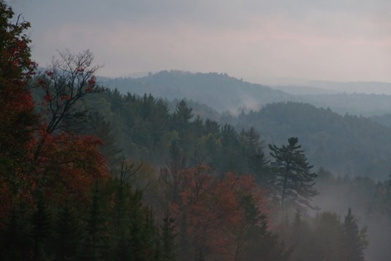 Mist and Early Light in Algonquin Park