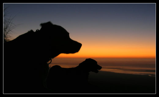 sunset