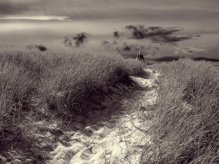 Dunes