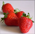 Fresh Strawberries.jpg