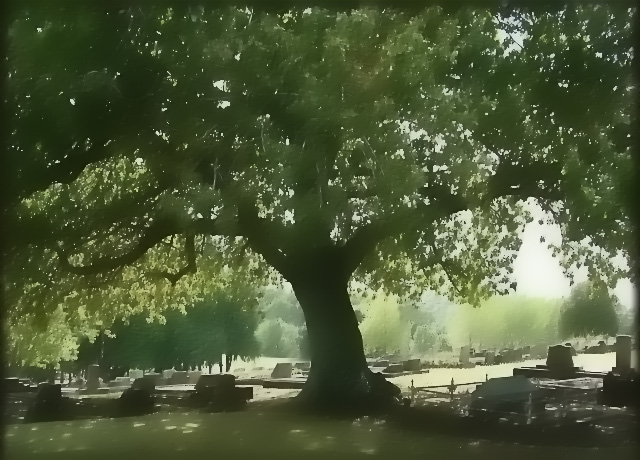 graveyard.JPG
