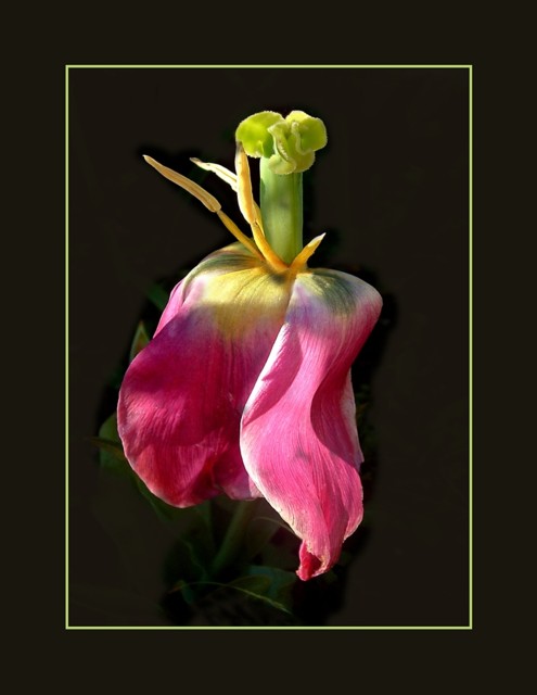 For you.jpg