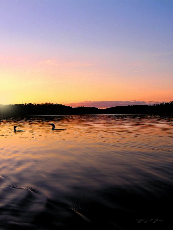 Magnetic lake
