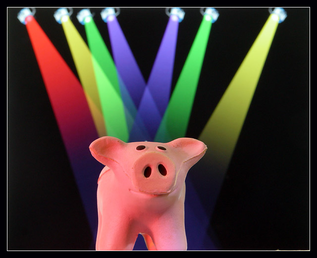Mr Piggy gets stage fright