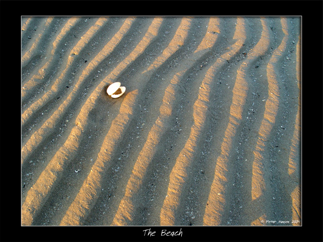 TheBeach_sm.jpg