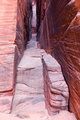 Crevice.jpg