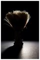 Shaving Brush